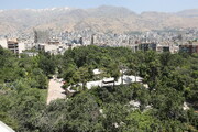 لایحه جدید برای باغات تهران | چمران: تسهیل ساخت و ساز در کنار حفظ درختان