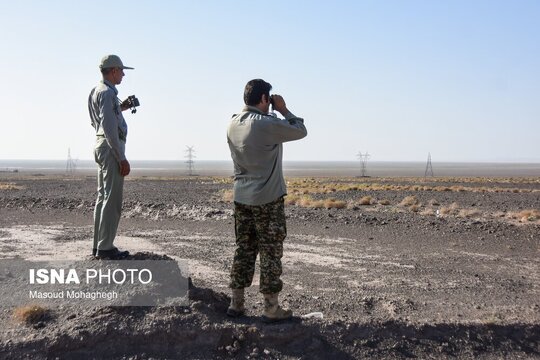 قتلگاه ۱۰ یوزپلنگ ایرانی