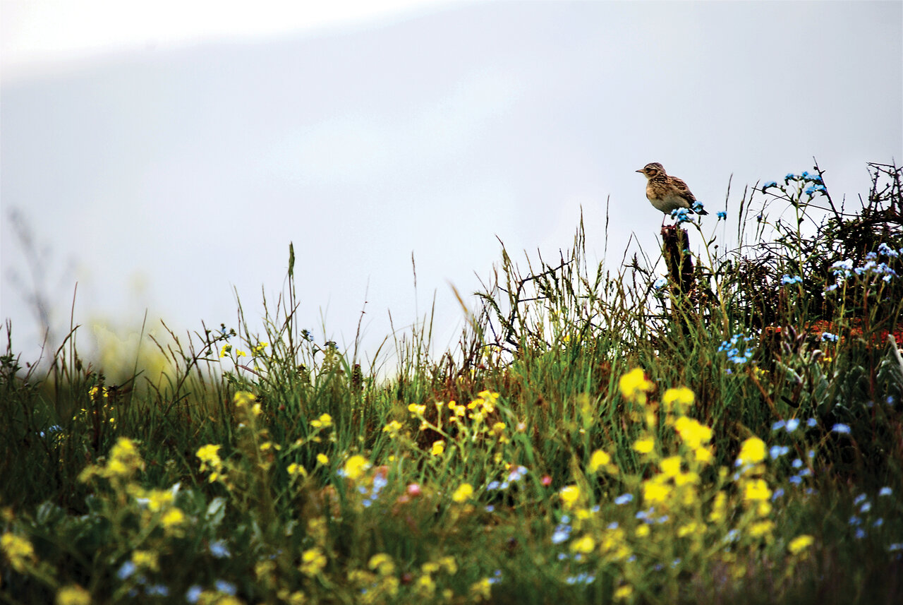 به کجا ذخیرهگاههای زیستکره میگویند؟