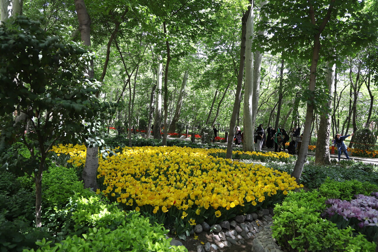 پیشنهاد یک تهران شناس به میلیاردرهای تهرانی؛ باغ بخرید