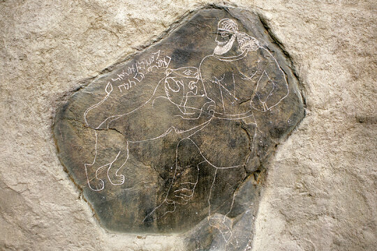 گرچه نقاش عصر باستان نمي‌توانسته خال‌هاي يوز را بر سنگ نقش كند اما باريكي كمر و حالت دم و سر و پوزه كوچك و تناسب اندازه آن با بز نشان يوز بودن آن است.