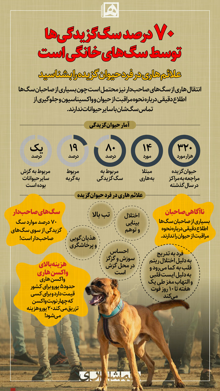 چند درصد سگگزیدگیها توسط سگهای خانگی ایجاد می شود؟ | علائم هاری در فرد حیوانگزیده | قیمت جالب واکسن هاری که نمی دانستید
