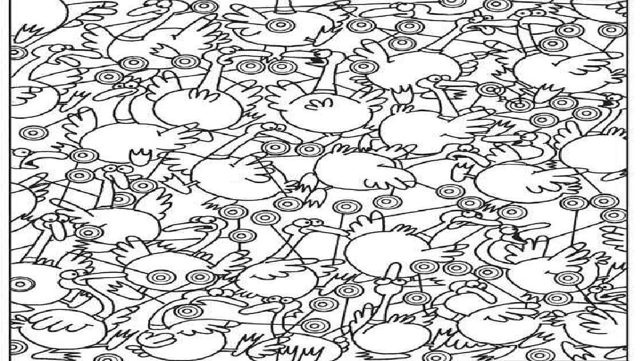 تیزبینها دوچرخه را بین پرندگان پیدا میکنند | قدرت بینایی خود را بسنجید