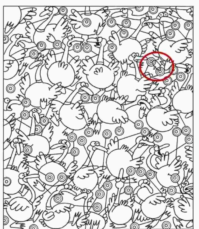 تیزبینها دوچرخه را بین پرندگان پیدا میکنند | قدرت بینایی خود را بسنجید