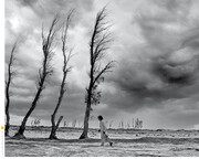 بودجه محیط‌زیست بازهم آب رفت |  تورم و انباشت بحران‌ ها بودجه را می‌ بلعد