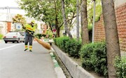 آغاز طرح ضربتی نظافت تهران تا ابتدای محرم | از شست شوی مخازن بدبوی زباله تا جاروکشی خیابان‌ها