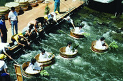 مسابقه هیجان انگیز سطل‌های چوبی شناور در ژاپن