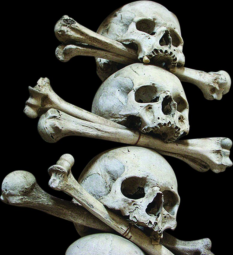 تصاویر کلیسایی که با استخوانهای جمجه مُردهها تزئین شده است