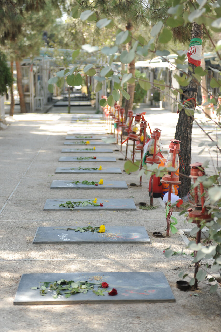 گشت و گذار در بهشت بینشانها