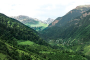 تصاویر دیدنی از زیباترین جنگل مازندران