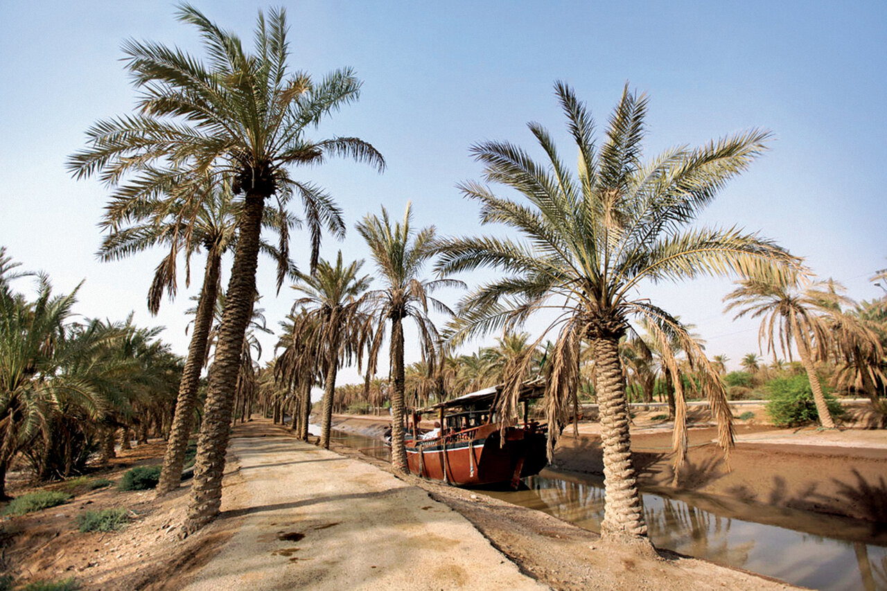 در زخمیترین شهر ایران هنوز گلوله از دیوار بیرون میکشند