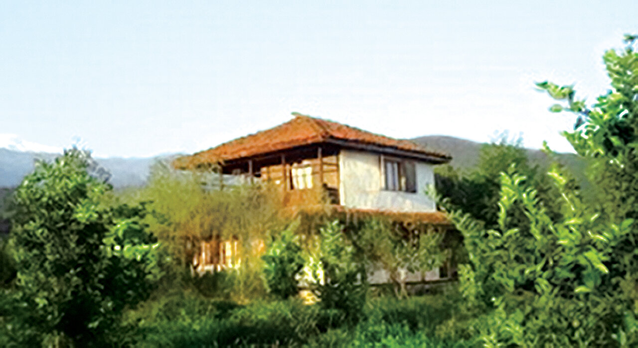 اینجا بکرترین جنگل ایران است