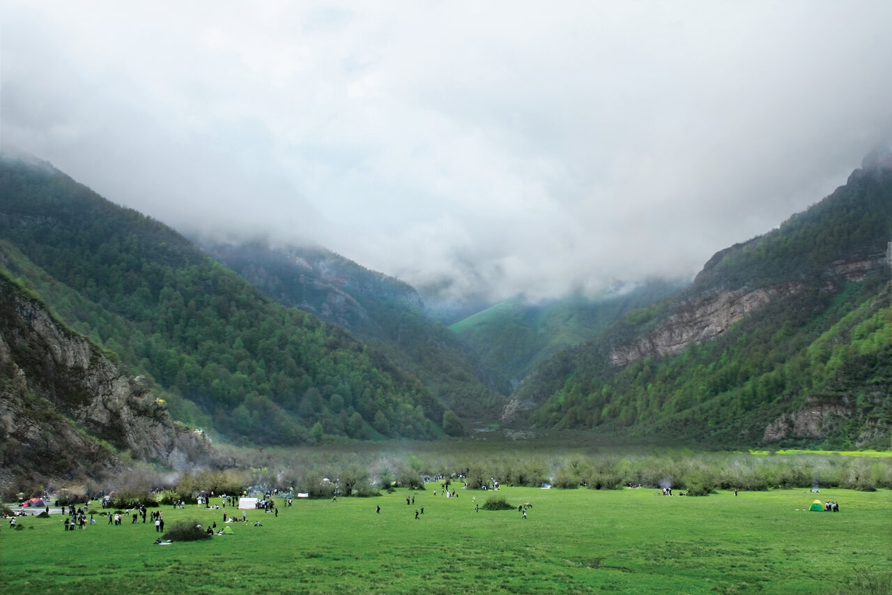 اینجا بکرترین جنگل ایران است