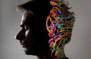بررسی قانونی شدن استفاده از مواد روانگردان برای درمان افسردگی در استرالیا|  مجوز استفاده از مواد روانگردان و قارچ‌های جادویی فقط برای مطالعات بالینی