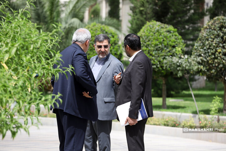 در حاشیه جلسه هیئت دولت