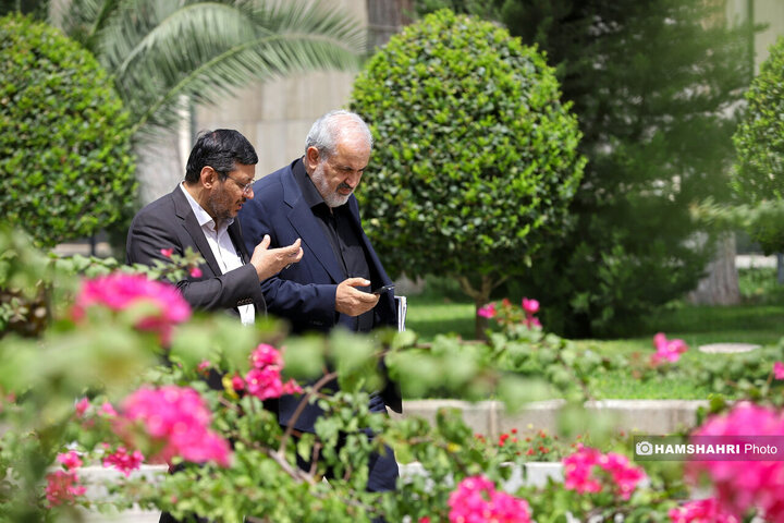در حاشیه جلسه هیئت دولت