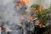ببینید | آخرین وضعیت آتش سوزی در جنگل‌های مریوان | فرماندار مریوان: ۱۶۰ هکتار خاکستر شد