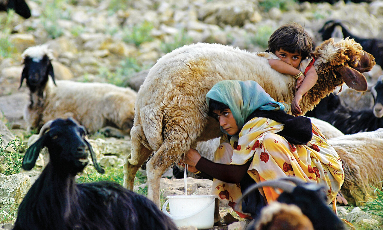 جایی که سنگ روی سنگ بند میشود