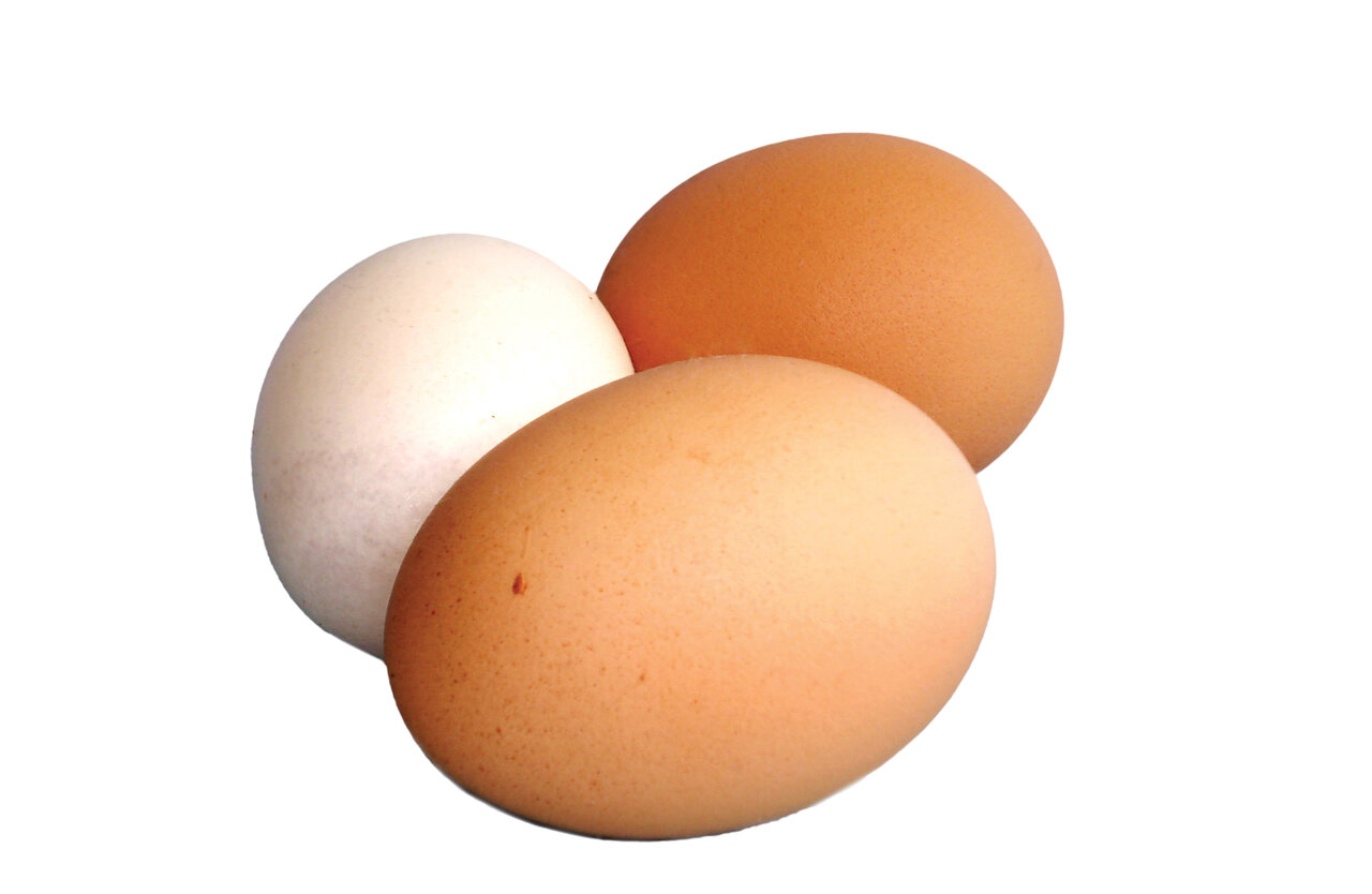 پروتئین بدنتان را با این مواد غذایی تامین کنید