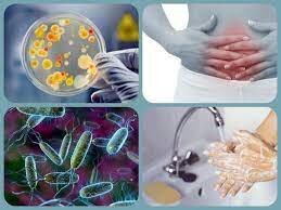 آشنایی با بیماریهای نوپدید و باز پدید | علل بروز بعضی بیماریها یا بازگشت بیماریهای قبلی