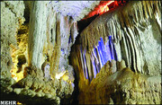 زیست موجودات ناشناخته در غار علیصدر