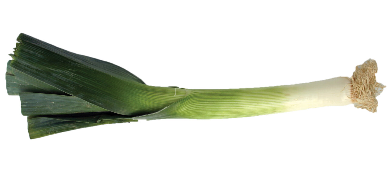 خواص معجزهآسای خانواده پیاز