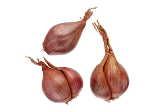 خواص معجزهآسای خانواده پیاز
