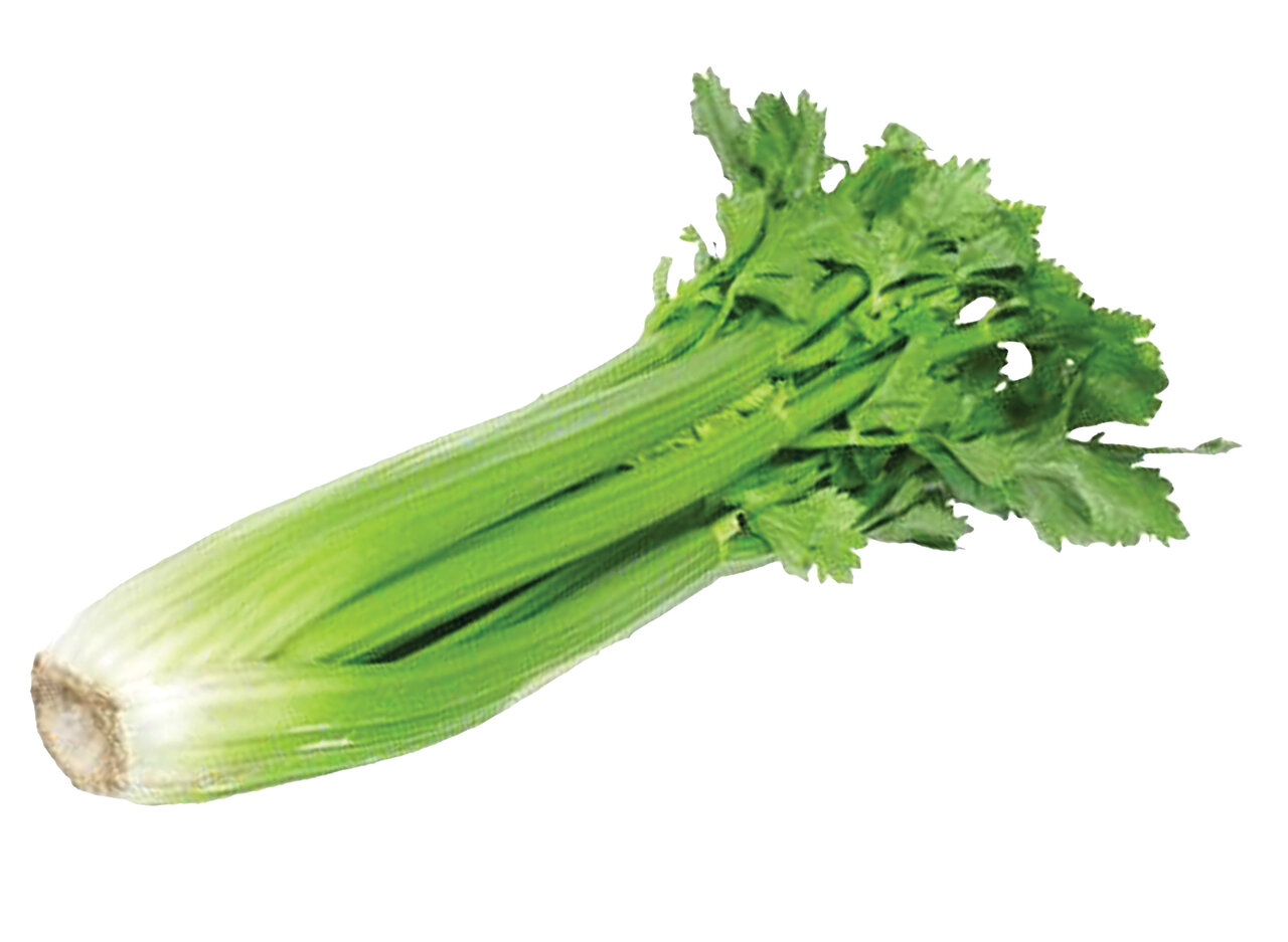 این مواد غذایی معجزه میکنند ؛ از درمان سرطان تا تقویت حافظه