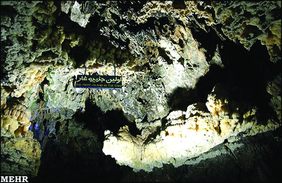زیست موجودات ناشناخته در غار علیصدر