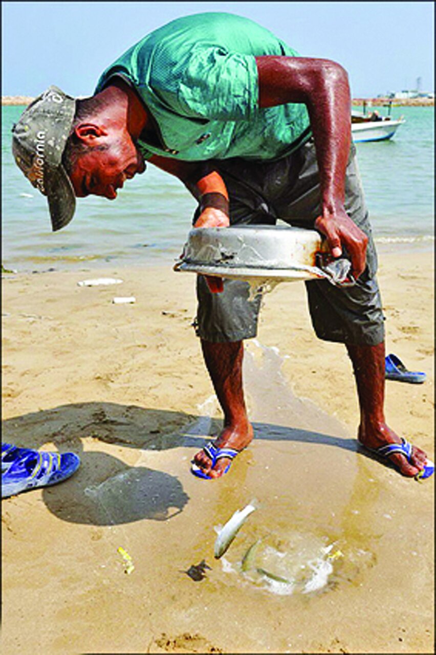 تصاویر جالب شکار عجیب ماهی با ماهیتابه در قشم