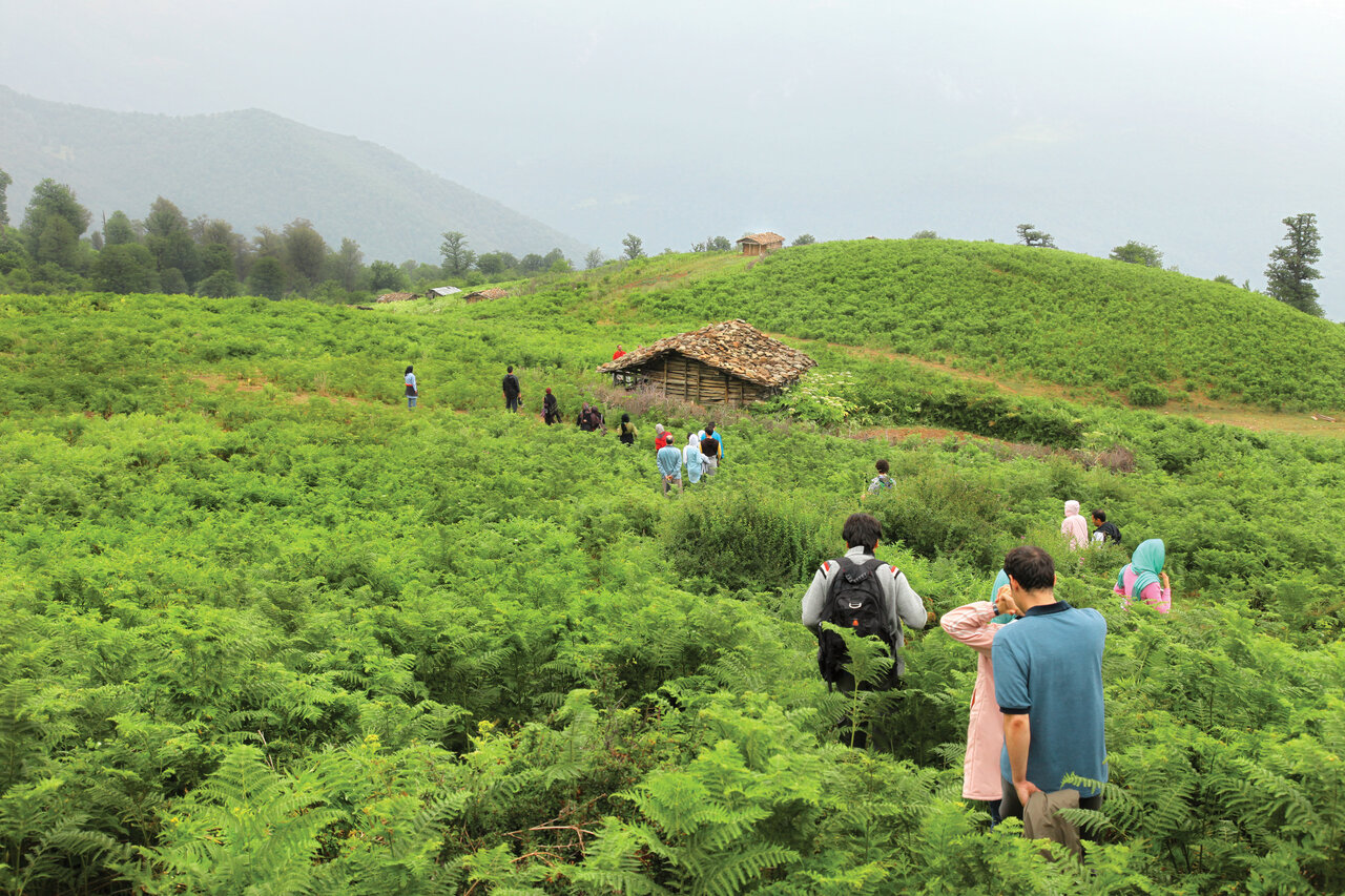 طبیعتگردی در متفاوتترین منطقه ییلاقی ایران | بلوط با طعم ابر!