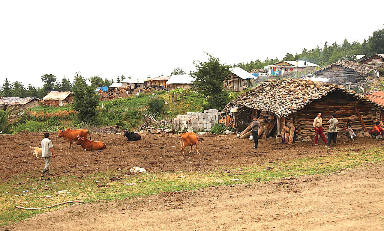 طبیعتگردی در متفاوتترین منطقه ییلاقی ایران | بلوط با طعم ابر!