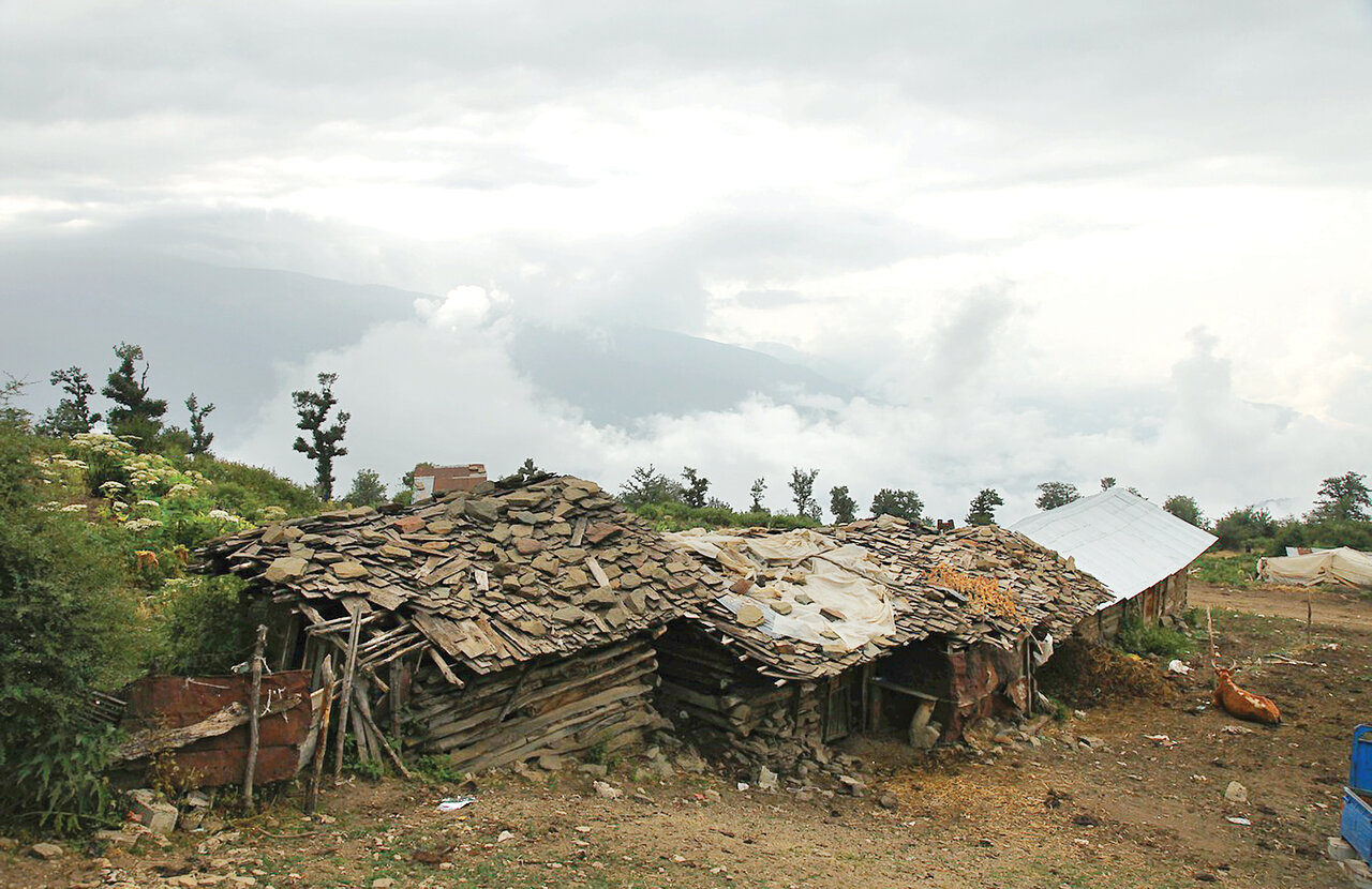 طبیعتگردی در متفاوتترین منطقه ییلاقی ایران | بلوط با طعم ابر!