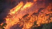 ببینید | لحظه مهیب آتش سوزی در جنگل‌های توریستی سه استان ترکیه