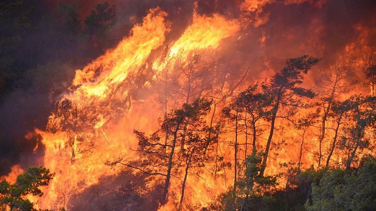 آتش سوزی جنگل های ترکیه