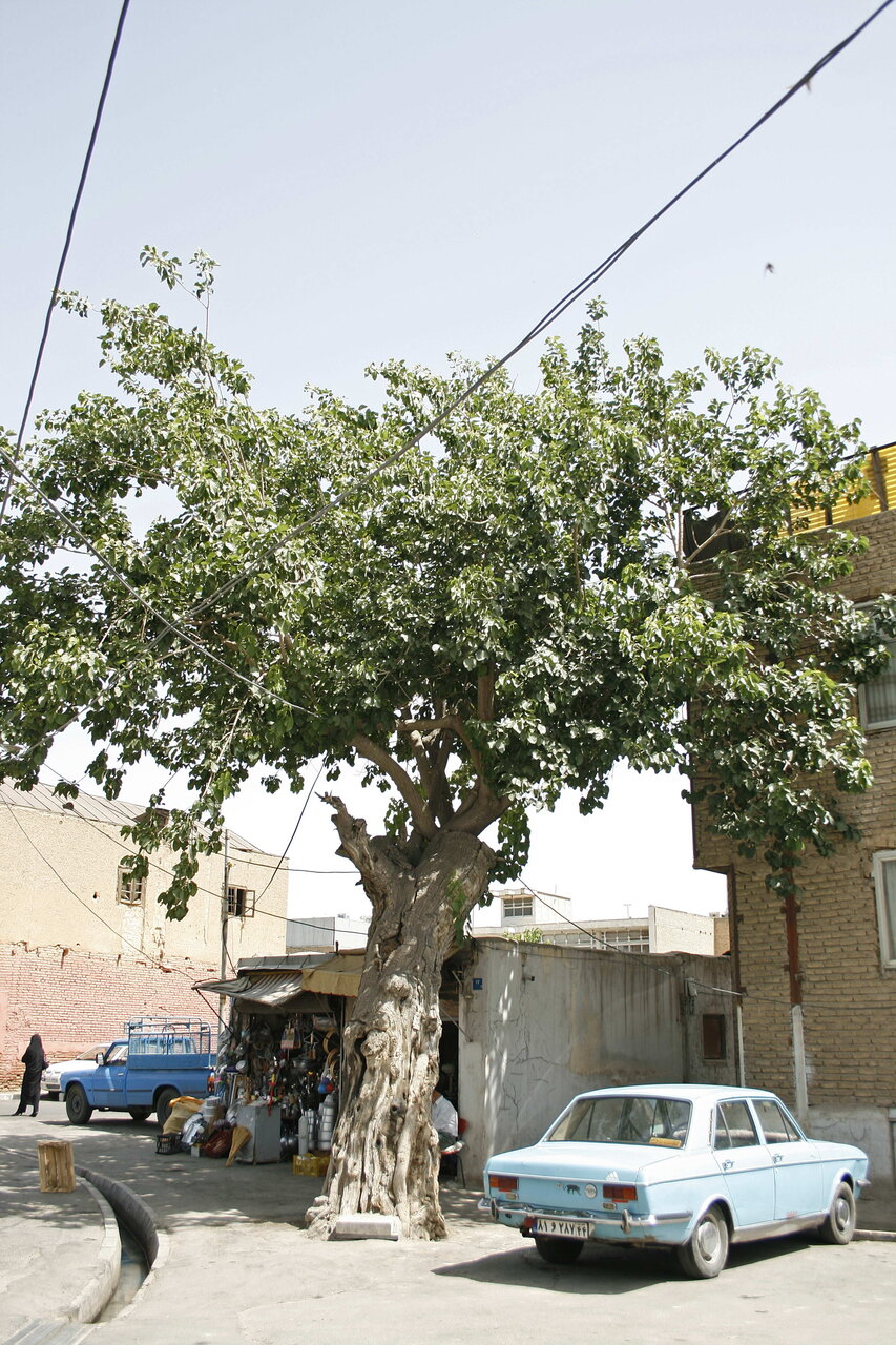 گشت و گذار در محله رازها | پاتوق همیشگی زمینهخوانهای حرفهای