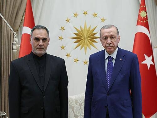 اردوغان در دیدار با سفیر جدید ایران در ترکیه