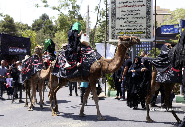 ظهر عاشورا در ده ونک