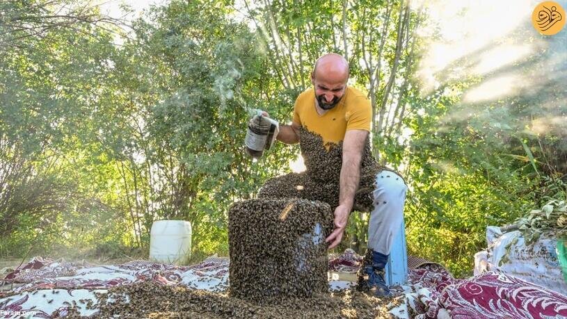 مردی با هزاران زنبور عسل روی بدنش