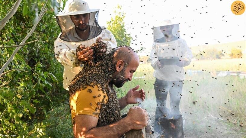 مردی با هزاران زنبور عسل روی بدنش