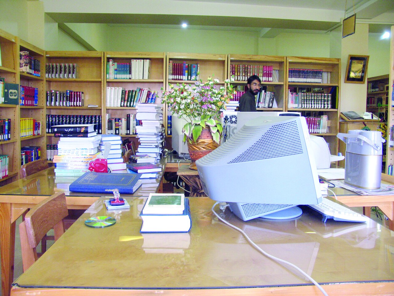 معجزه گياهان