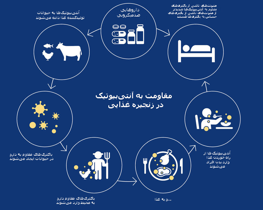 مقاومت به آنتیبیوتیکها تهدیدی وجودی برای پزشکی مدرن است