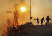 تصاویر هوایی از اراضی سوخته «رودس» | آتش سوزی با این جزیره یونان چه کرد؟
