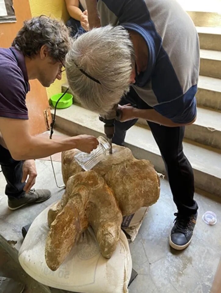 تصاویر | کشف بزرگترین حیوان جهان | دو برابر سنگینتر از نهنگ