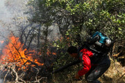 ببینید | جنگل‌های مریوان همچنان در آتش | اعزام ۲ بالگرد برای عملیات اطفا