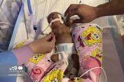 فوری | اعلام علت فوت ۶ نوزاد در بیمارستان هاجر + جزئیات
