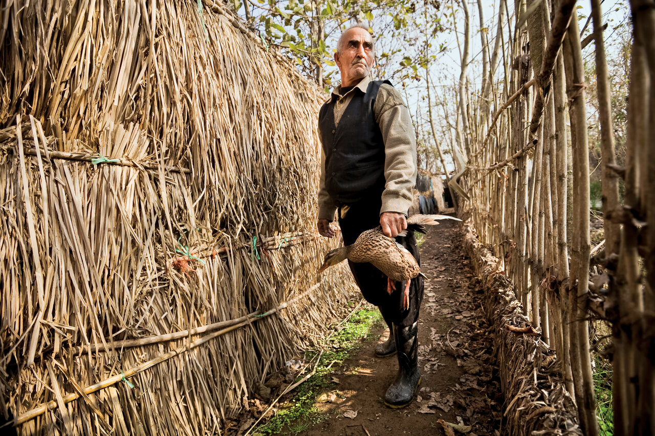 خاصترین روش صید پرندگان در شمال ایران