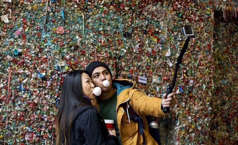 عجیبترین درخت تهران کجاست؟ | ارتباط جالب این درخت با دیواری در سیاتل آمریکا