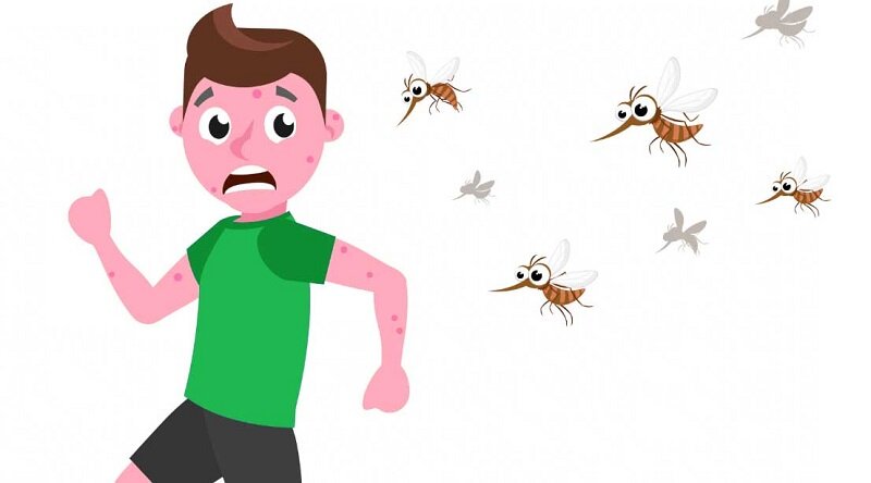 موثرترین راه‌ دفع پشه‌ها