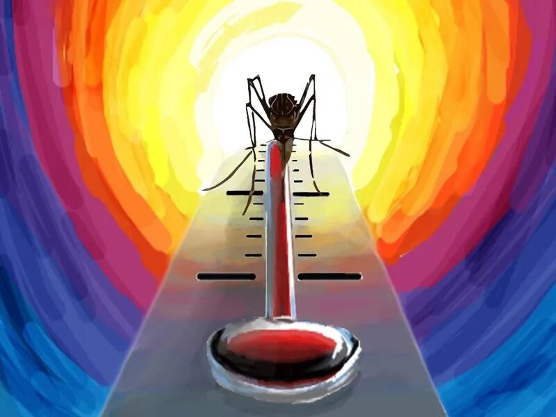 موثرترین راه دفع پشهها